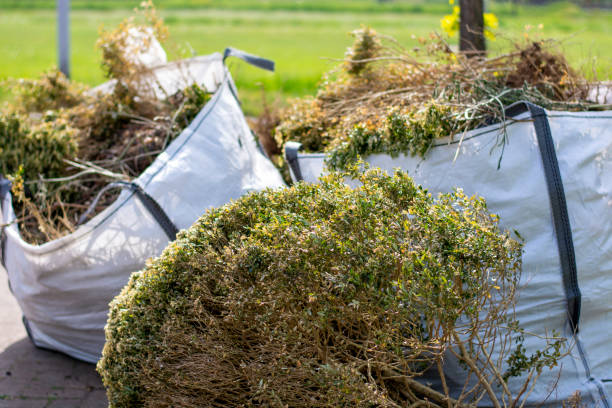 Same-Day Junk Removal Services in Wagener, SC